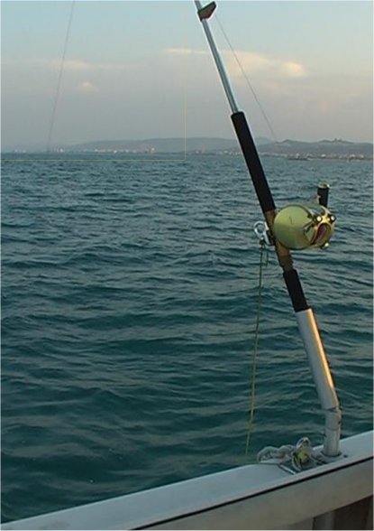 Rhino Boat Rod Holder (Rail diameter: 30mm, Length: 25cm) [RHIN8208006] -  €35.96 : , Fishing Tackle Shop